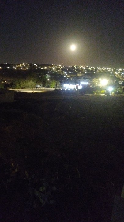 مشاركاتي في أنت الراصد