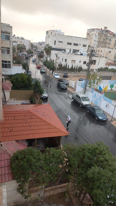 مشاركاتي في أنت الراصد