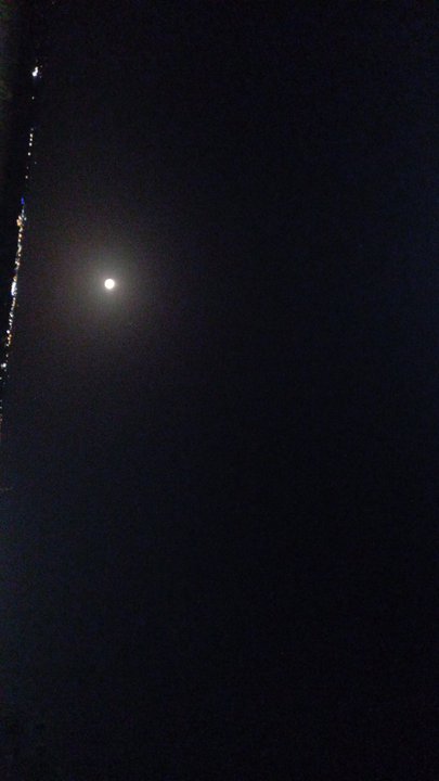 مشاركاتي في أنت الراصد