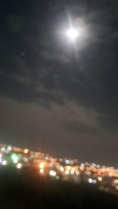 مشاركاتي في أنت الراصد