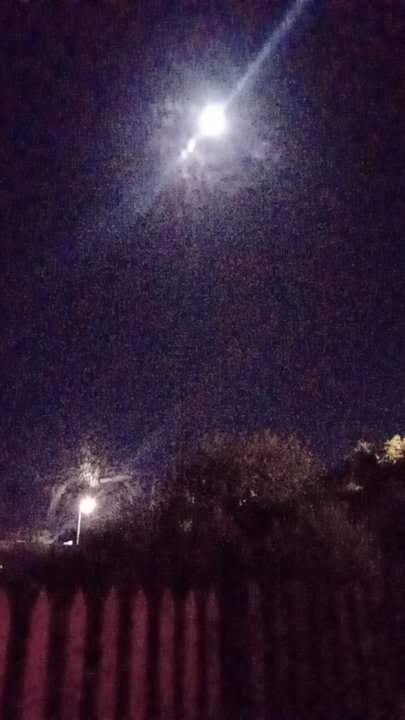 مشاركاتي في أنت الراصد