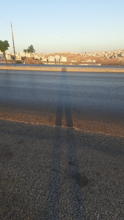 مشاركاتي في أنت الراصد