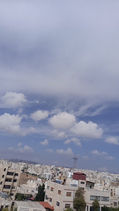 مشاركاتي في أنت الراصد