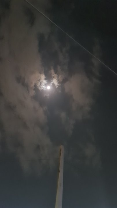 مشاركاتي في أنت الراصد