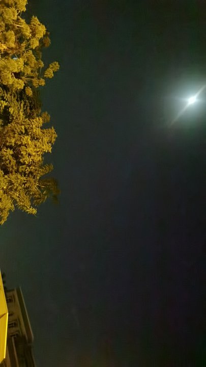 Mes publications Crowdsourcing