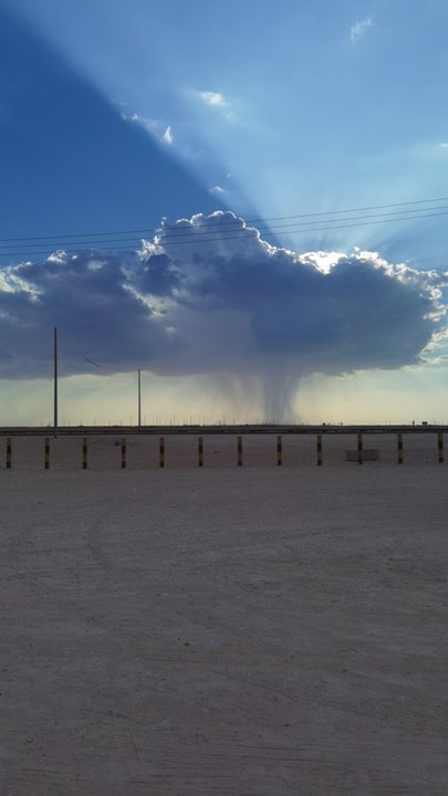 Mes publications Crowdsourcing