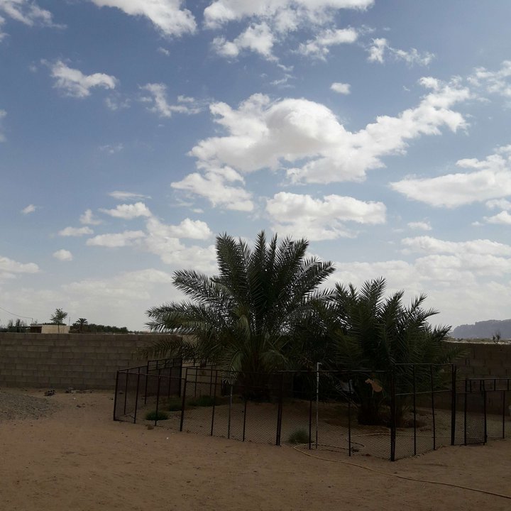 My Crowdsourcing Posts