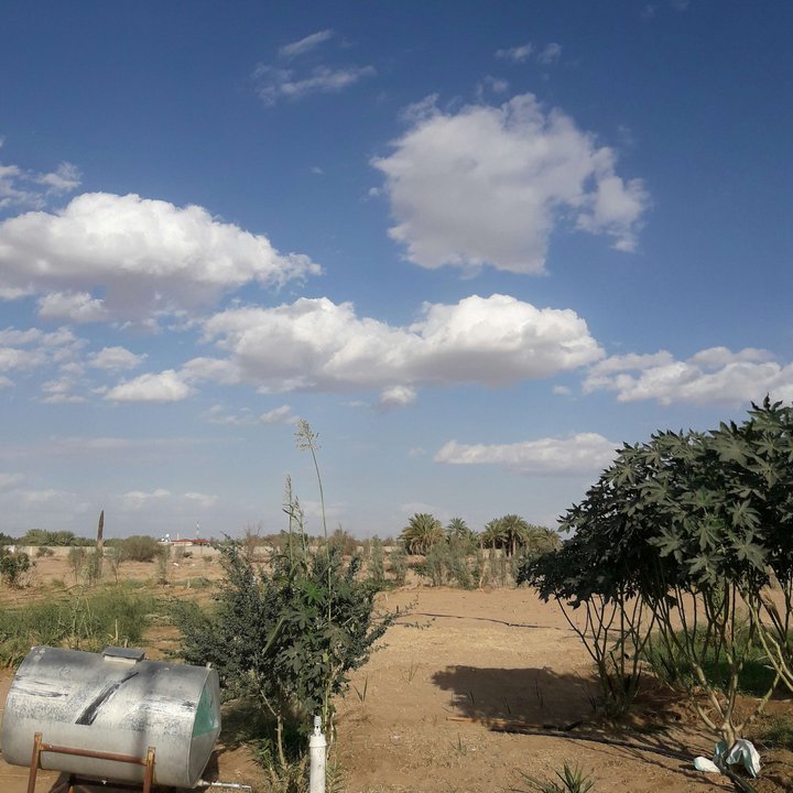 My Crowdsourcing Posts