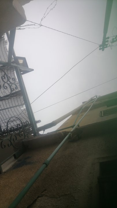 مشاركاتي في أنت الراصد