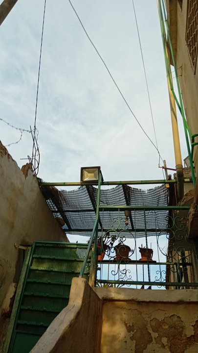 مشاركاتي في أنت الراصد