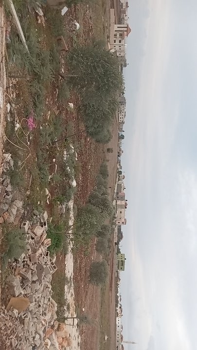 Mes publications Crowdsourcing