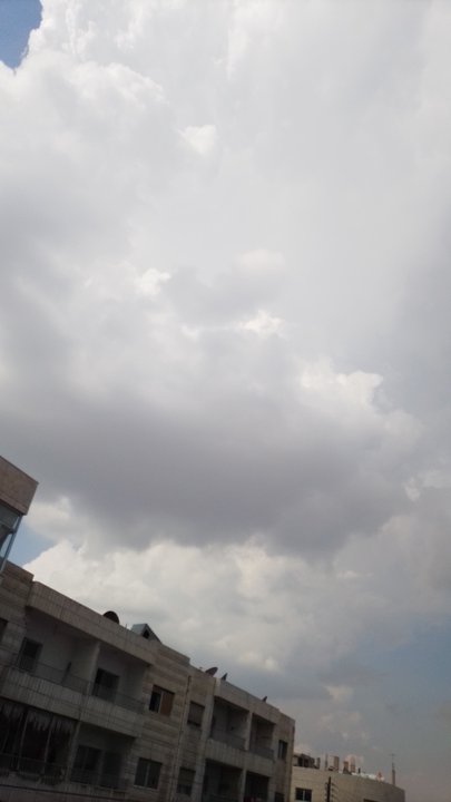 مشاركاتي في أنت الراصد