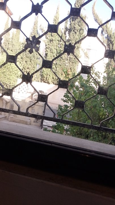 مشاركاتي في أنت الراصد