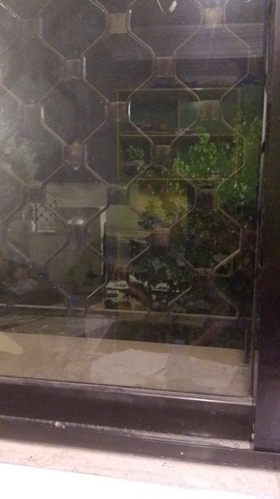 مشاركاتي في أنت الراصد