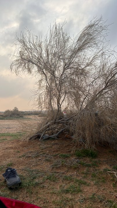 My Crowdsourcing Posts