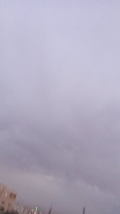 مشاركاتي في أنت الراصد