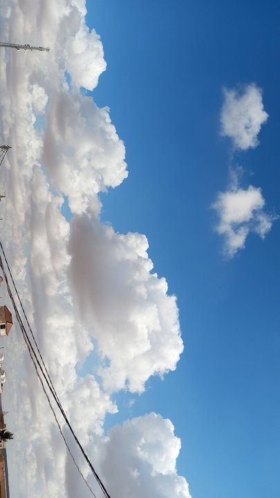 مشاركاتي في أنت الراصد