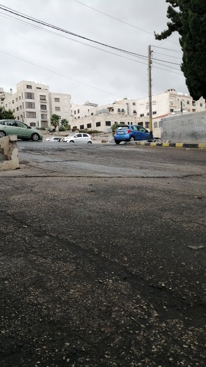 مشاركاتي في أنت الراصد