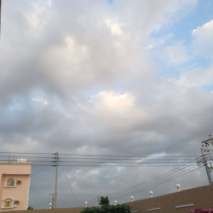 مشاركاتي في أنت الراصد