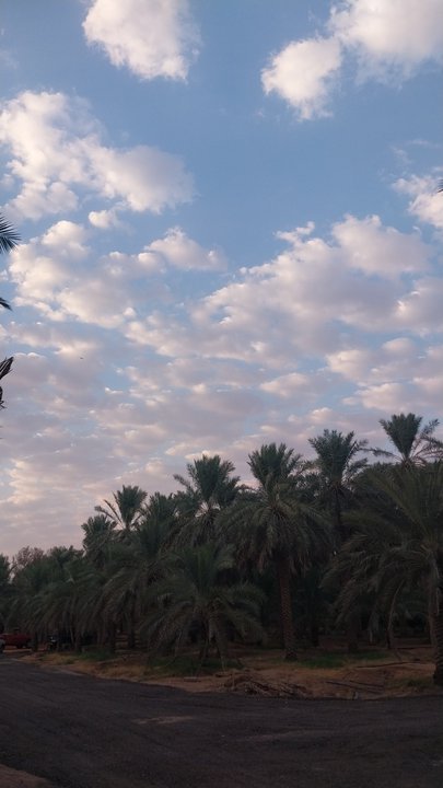 My Crowdsourcing Posts