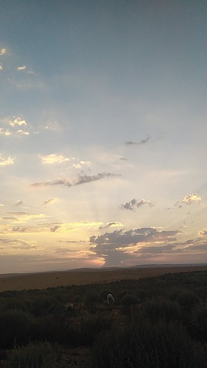 مشاركاتي في أنت الراصد