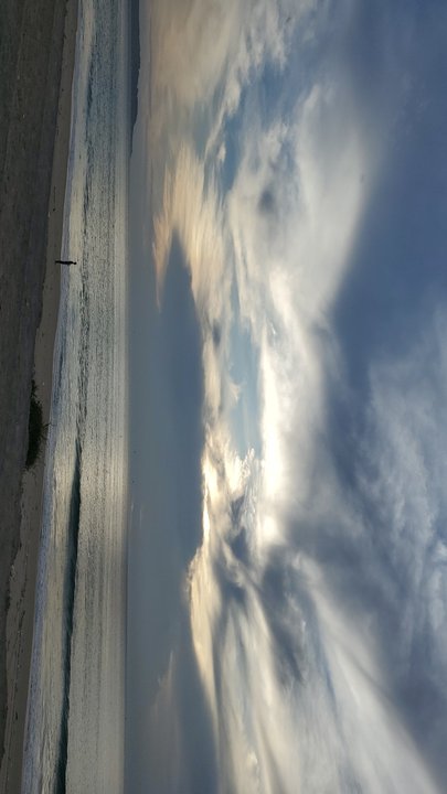 مشاركاتي في أنت الراصد