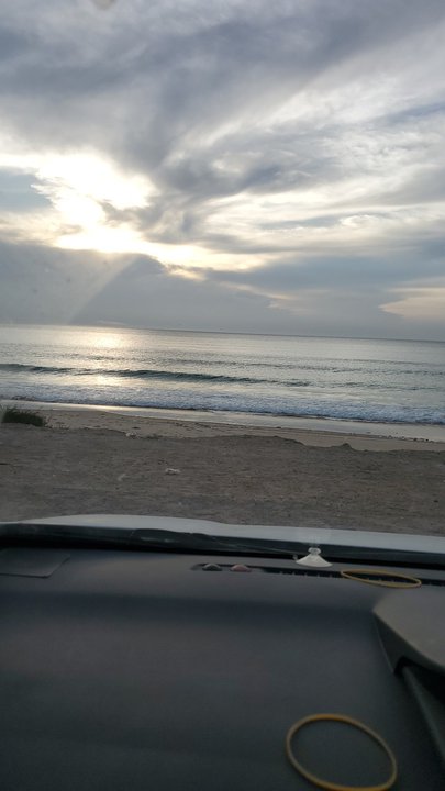 مشاركاتي في أنت الراصد