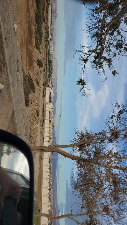 مشاركاتي في أنت الراصد