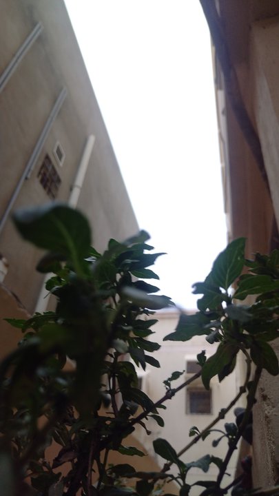 My Crowdsourcing Posts