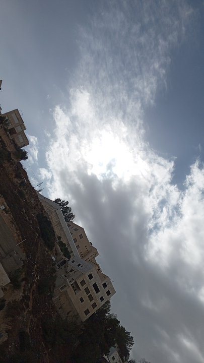 مشاركاتي في أنت الراصد