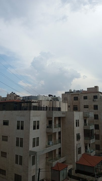 مشاركاتي في أنت الراصد