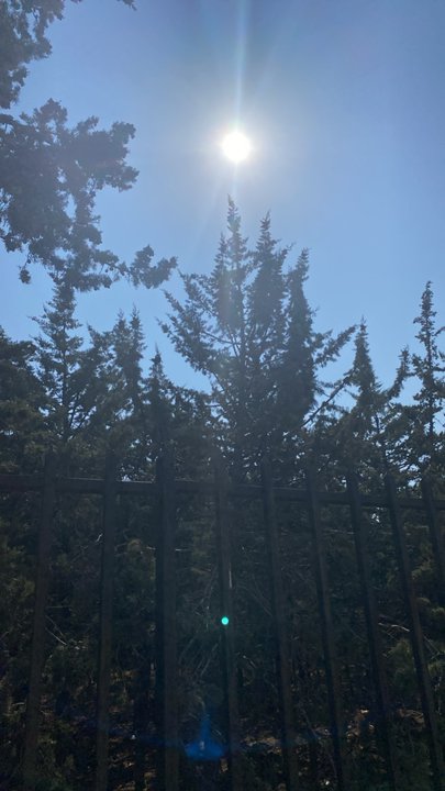 مشاركاتي في أنت الراصد