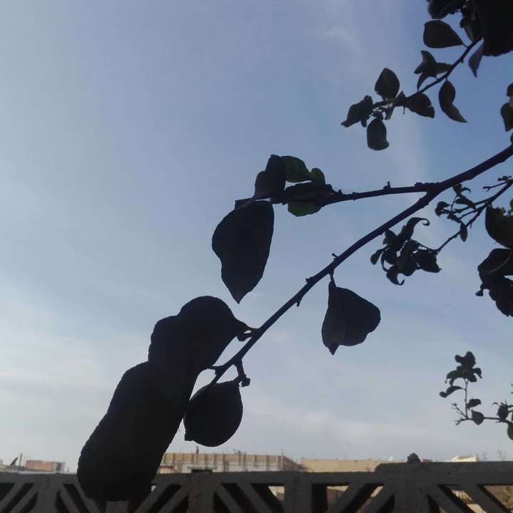 My Crowdsourcing Posts