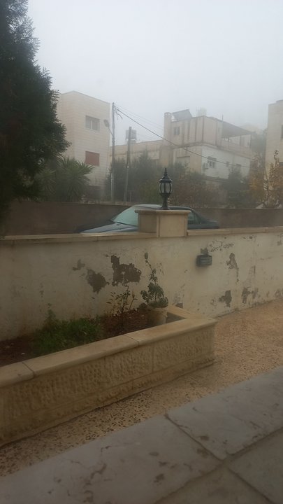 مشاركاتي في أنت الراصد