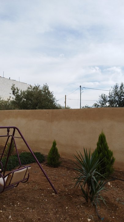 مشاركاتي في أنت الراصد