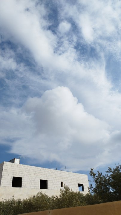 مشاركاتي في أنت الراصد