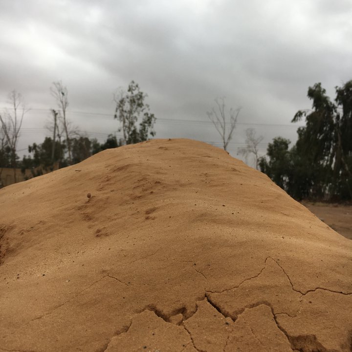 My Crowdsourcing Posts