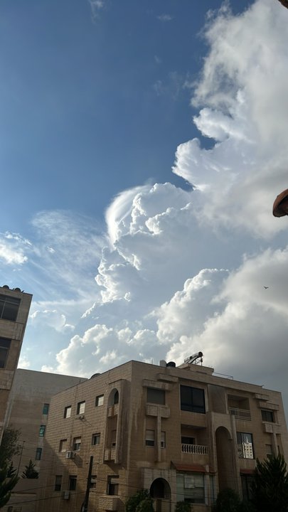 مشاركاتي في أنت الراصد