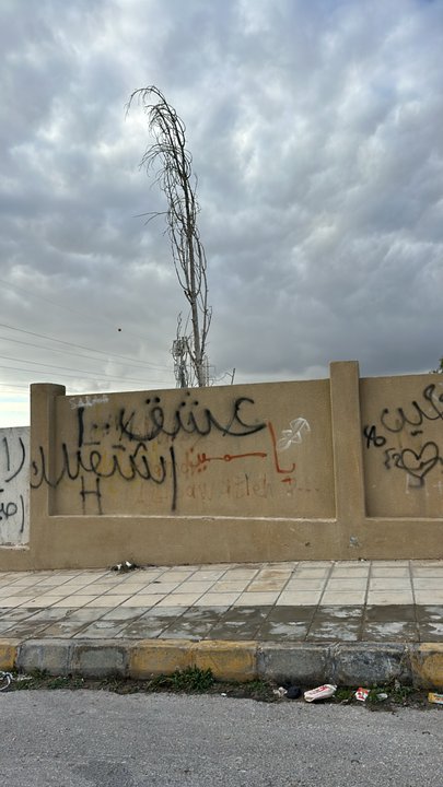 مشاركاتي في أنت الراصد