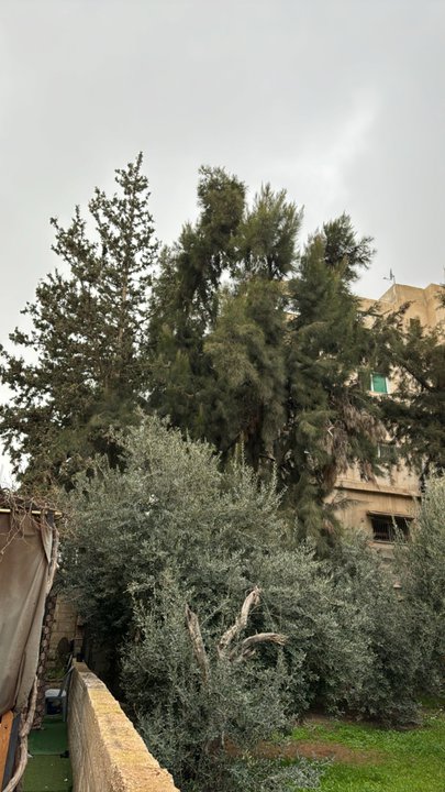 My Crowdsourcing Posts