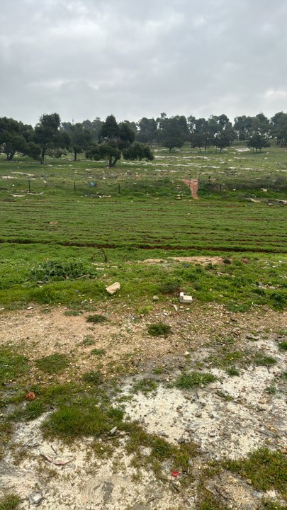 My Crowdsourcing Posts