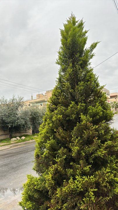 My Crowdsourcing Posts