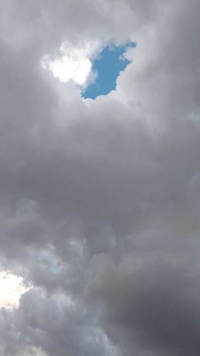 مشاركاتي في أنت الراصد