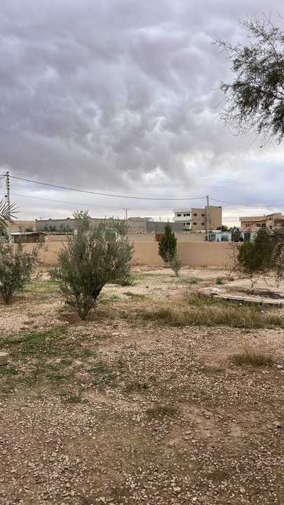 مشاركاتي في أنت الراصد