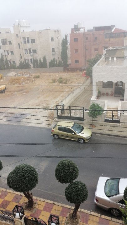 مشاركاتي في أنت الراصد