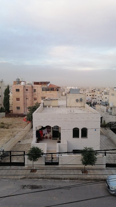 مشاركاتي في أنت الراصد