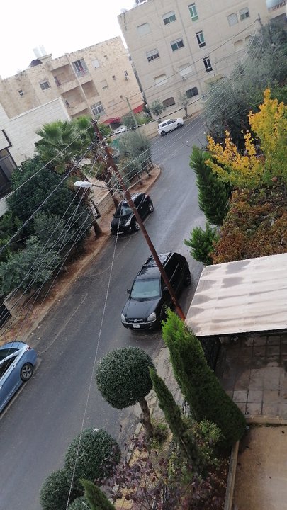 مشاركاتي في أنت الراصد