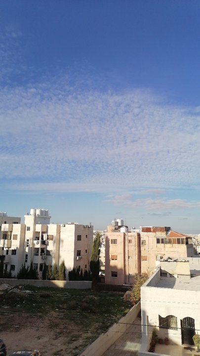 مشاركاتي في أنت الراصد