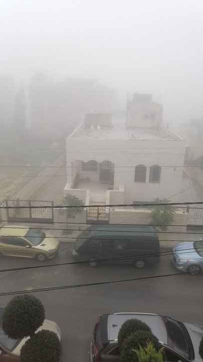 مشاركاتي في أنت الراصد