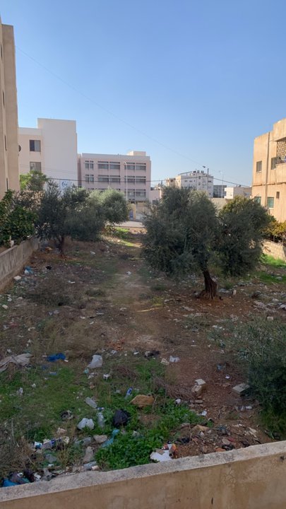 مشاركاتي في أنت الراصد